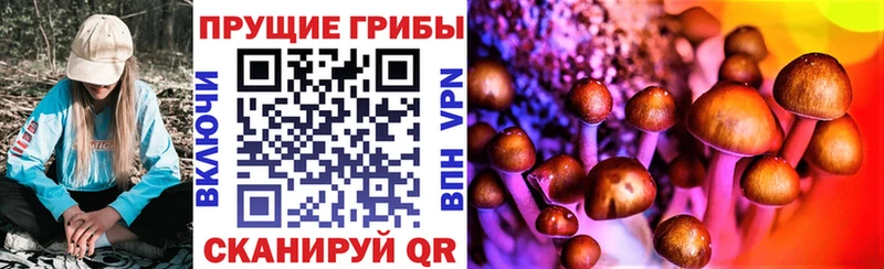 цена наркотик  Анива  Галлюциногенные грибы GOLDEN TEACHER 